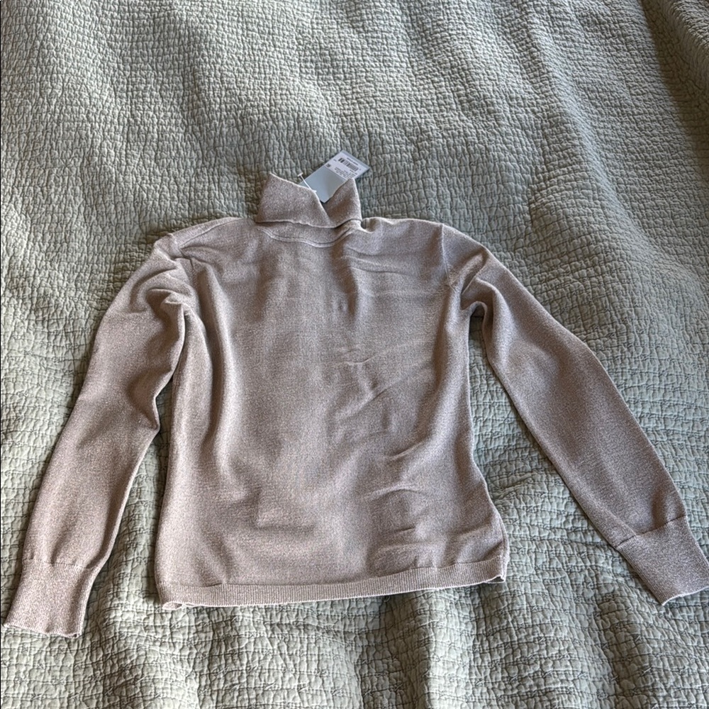 Women's Beige shimmer sweater Antonio Melani